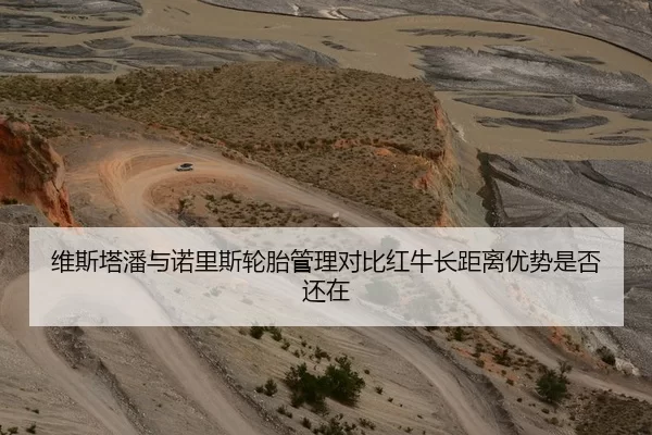 维斯塔潘与诺里斯轮胎管理对比红牛长距离优势是否还在