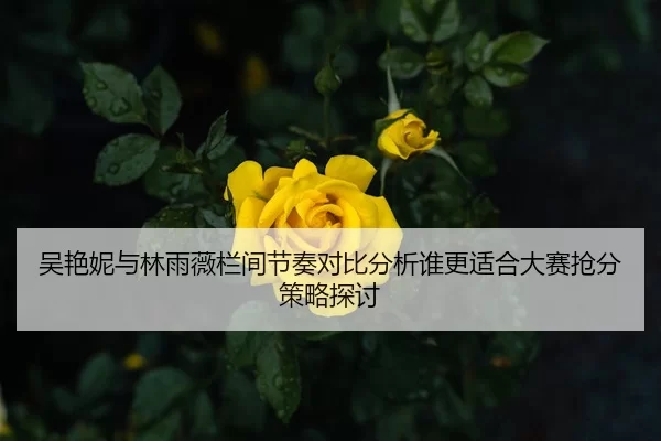 吴艳妮与林雨薇栏间节奏对比分析谁更适合大赛抢分策略探讨