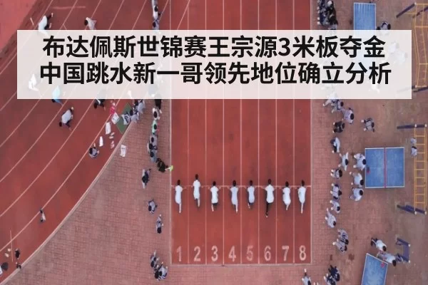 布达佩斯世锦赛王宗源3米板夺金 中国跳水新一哥领先地位确立分析